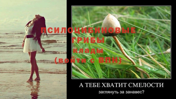 дурь Балабаново