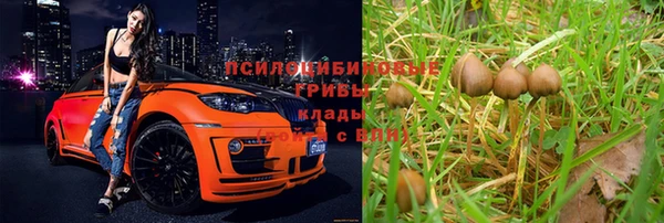ГАЛЛЮЦИНОГЕННЫЕ ГРИБЫ Армянск